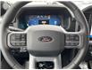2025 Ford F-150 XLT (Stk: VF1F00899) in Chatham - Image 13 of 20