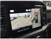 2025 Ford F-150 XLT (Stk: VF1F00899) in Chatham - Image 19 of 20