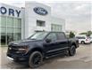 2025 Ford F-150 XLT (Stk: VF1F00899) in Chatham - Image 20 of 20
