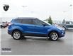 2018 Ford Escape SE (Stk: KZ409DTA) in Ottawa - Image 2 of 23