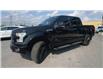 2017 Ford F-150 Lariat (Stk: 25311) in Sudbury - Image 4 of 25