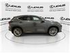 2024 Lexus NX 350h Base (Stk: 14U6503) in Markham - Image 10 of 29