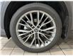 2024 Lexus NX 350h Base (Stk: 14U6503) in Markham - Image 11 of 29