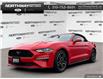 2023 Ford Mustang  (Stk: DR1039) in Brantford - Image 1 of 22