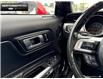 2023 Ford Mustang  (Stk: DR1039) in Brantford - Image 15 of 22