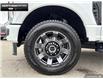 2024 Ford F-250  (Stk: 4F206777) in Brantford - Image 6 of 22