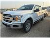 2019 Ford F-150 XLT (Stk: OP343B) in Drayton Valley - Image 4 of 12