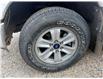 2019 Ford F-150 XLT (Stk: OP343B) in Drayton Valley - Image 12 of 12