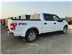 2019 Ford F-150 XLT (Stk: OP343B) in Drayton Valley - Image 6 of 12