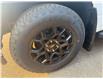 2025 Ford F-150 XLT (Stk: 25DFT019) in Drayton Valley - Image 14 of 14