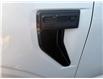 2025 Ford F-150 XLT (Stk: 25DFT019) in Drayton Valley - Image 5 of 14