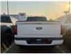 2025 Ford F-150 XLT (Stk: 25DFT019) in Drayton Valley - Image 6 of 14