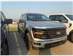 2025 Ford F-150 XLT (Stk: 25DFT051) in Drayton Valley - Image 2 of 13