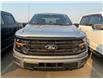 2025 Ford F-150 XLT (Stk: 25DFT051) in Drayton Valley - Image 3 of 13