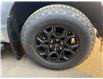 2025 Ford F-150 XLT (Stk: 25DFT051) in Drayton Valley - Image 13 of 13
