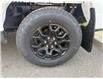 2025 Ford F-150 XLT (Stk: 25DFT015) in Drayton Valley - Image 13 of 13