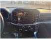 2025 Ford F-150 XLT (Stk: 25DFT015) in Drayton Valley - Image 10 of 13