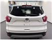 2019 Ford Escape SE (Stk: 20177) in Lethbridge - Image 5 of 20