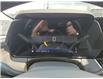 2025 Chevrolet TrailBlazer LT (Stk: B195780) in Newmarket - Image 17 of 21