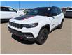2023 Jeep Compass Trailhawk (Stk: 301003) in Lethbridge - Image 3 of 15