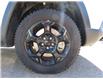 2023 Jeep Compass Trailhawk (Stk: 301003) in Lethbridge - Image 15 of 15