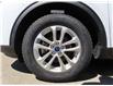 2020 Ford Escape SE (Stk: 301006) in Lethbridge - Image 9 of 9