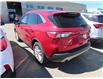 2020 Ford Escape SE (Stk: 301002) in Lethbridge - Image 6 of 14
