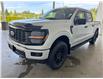 2025 Ford F-150 STX (Stk: 25110) in Port Alberni - Image 8 of 26