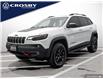 2019 Jeep Cherokee Trailhawk (Stk: 1D0755) in Kitchener - Image 1 of 21