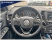 2019 Jeep Cherokee Trailhawk (Stk: 1D0755) in Kitchener - Image 8 of 21