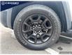 2019 Jeep Cherokee Trailhawk (Stk: 1D0755) in Kitchener - Image 16 of 21