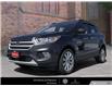 2019 Ford Escape SEL (Stk: 911501) in Victoria - Image 1 of 25