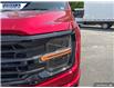 2025 Ford F-150 XLT (Stk: 27348) in Dartmouth - Image 8 of 24