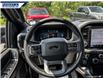 2025 Ford F-150 XLT (Stk: 27348) in Dartmouth - Image 13 of 24