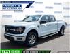 2025 Ford F-150 XLT (Stk: 27266) in Dartmouth - Image 1 of 24
