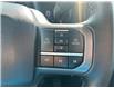 2024 Ford F-150 XLT (Stk: P25-17) in Embrun - Image 12 of 23