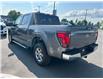 2024 Ford F-150 XLT (Stk: P25-17) in Embrun - Image 13 of 23