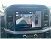 2024 Ford F-150 XLT (Stk: P25-17) in Embrun - Image 14 of 23