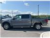 2024 Ford F-150 XLT (Stk: P25-17) in Embrun - Image 15 of 23