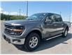 2024 Ford F-150 XLT (Stk: P25-17) in Embrun - Image 17 of 23