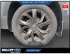 2022 Volkswagen Taos Comfortline (Stk: 25P065) in Kentville - Image 6 of 15