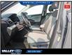 2022 Volkswagen Taos Comfortline (Stk: 25P065) in Kentville - Image 7 of 15