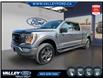 2023 Ford F-150  (Stk: 25169A) in Kentville - Image 1 of 23