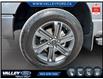 2023 Ford F-150  (Stk: 25169A) in Kentville - Image 7 of 23