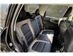 2025 Ford Bronco Sport Big Bend (Stk: 25BR4796) in Vancouver - Image 9 of 14