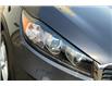 2019 Kia Sorento 2.4L LX (Stk: SSP65751) in Sherwood Park - Image 25 of 30