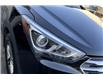 2017 Hyundai Santa Fe Sport 2.4 Luxury (Stk: SSP60782) in Sherwood Park - Image 26 of 30