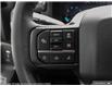2025 Ford F-150 XLT (Stk: FH223) in Sault Ste. Marie - Image 13 of 20