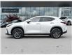 2024 Lexus NX 350  (Stk: 15104821A) in Richmond Hill - Image 3 of 28