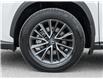 2024 Lexus NX 350  (Stk: 15104821A) in Richmond Hill - Image 4 of 28